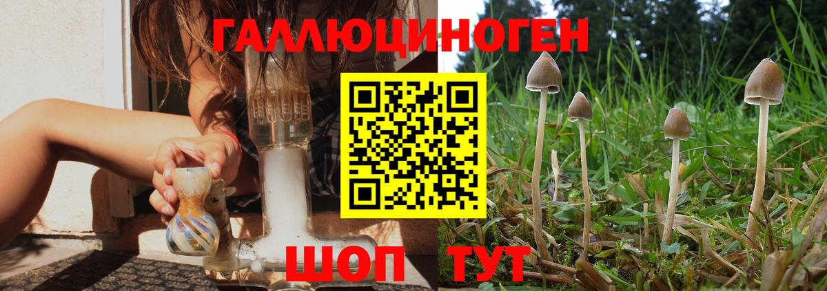 Галлюциногенные грибы GOLDEN TEACHER  Галлюциногенные грибы Magic Shrooms  Вход с VPN  Железноводск 